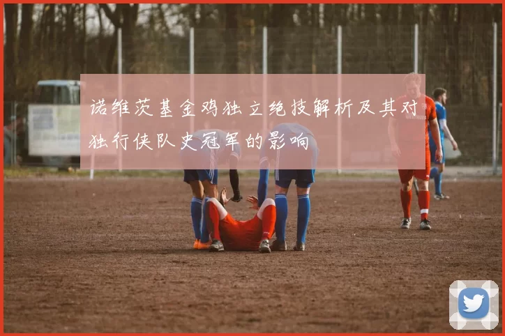 诺维茨基金鸡独立绝技解析及其对独行侠队史冠军的影响