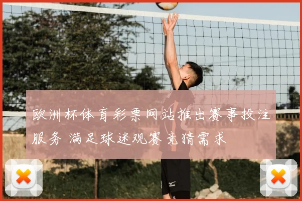 欧洲杯体育彩票网站推出赛事投注服务 满足球迷观赛竞猜需求