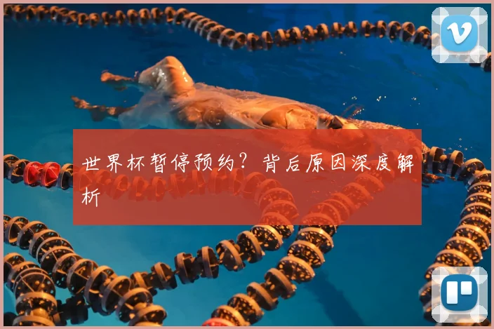 世界杯暂停预约？背后原因深度解析