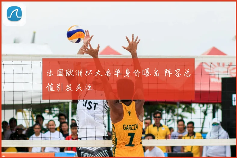 法国欧洲杯大名单身价曝光 阵容总值引发关注