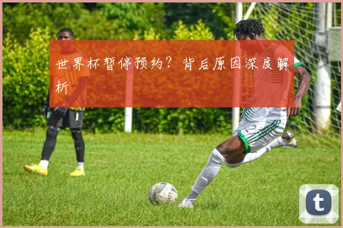 世界杯暂停预约？背后原因深度解析