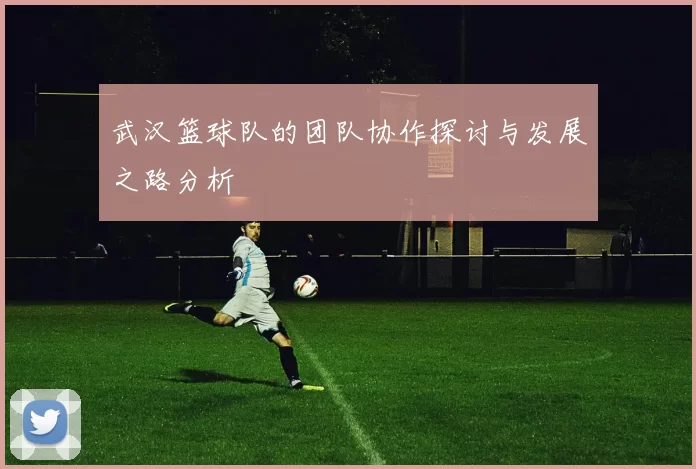 武汉篮球队的团队协作探讨与发展之路分析