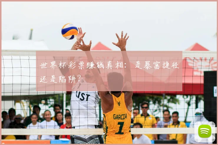 世界杯彩票赚钱真相：是暴富捷径还是陷阱？