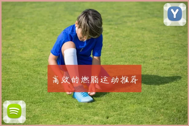 高效的燃脂运动推荐