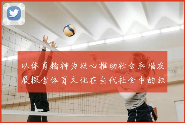 以体育精神为核心推动社会和谐发展探索体育文化在当代社会中的积极作用