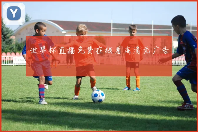 世界杯直播免费在线看高清无广告