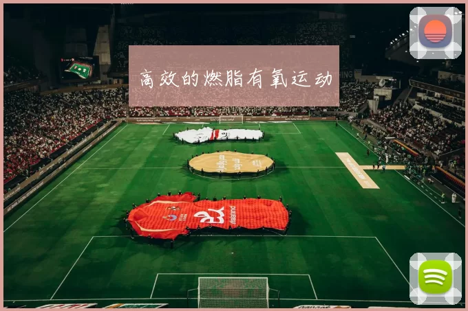 高效的燃脂有氧运动