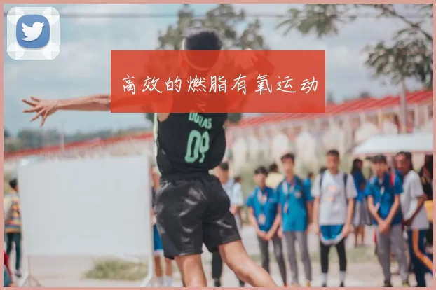 高效的燃脂有氧运动