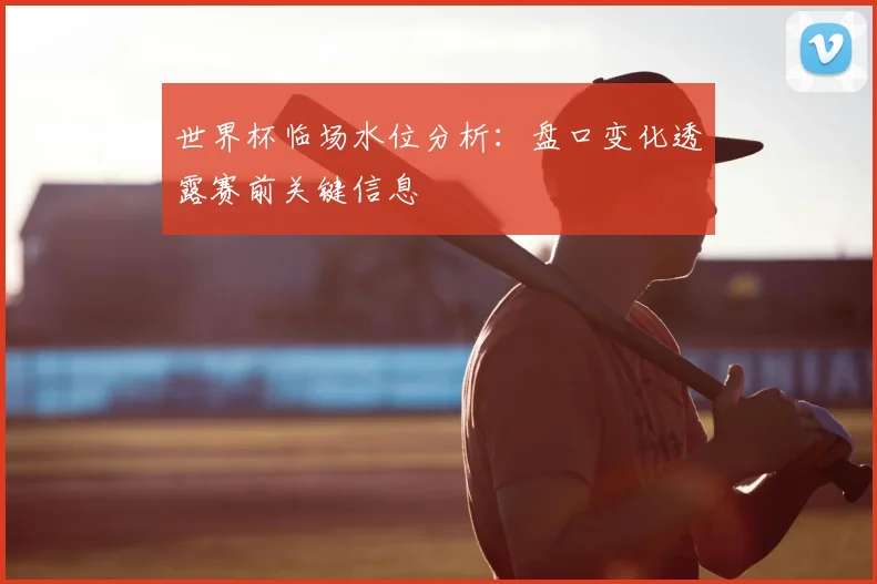 世界杯临场水位分析：盘口变化透露赛前关键信息