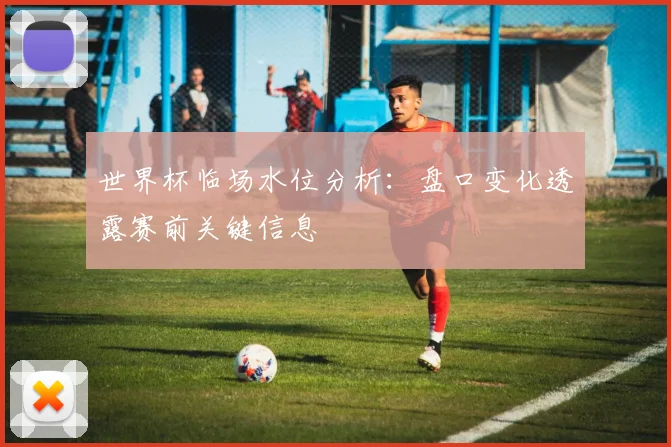 世界杯临场水位分析：盘口变化透露赛前关键信息